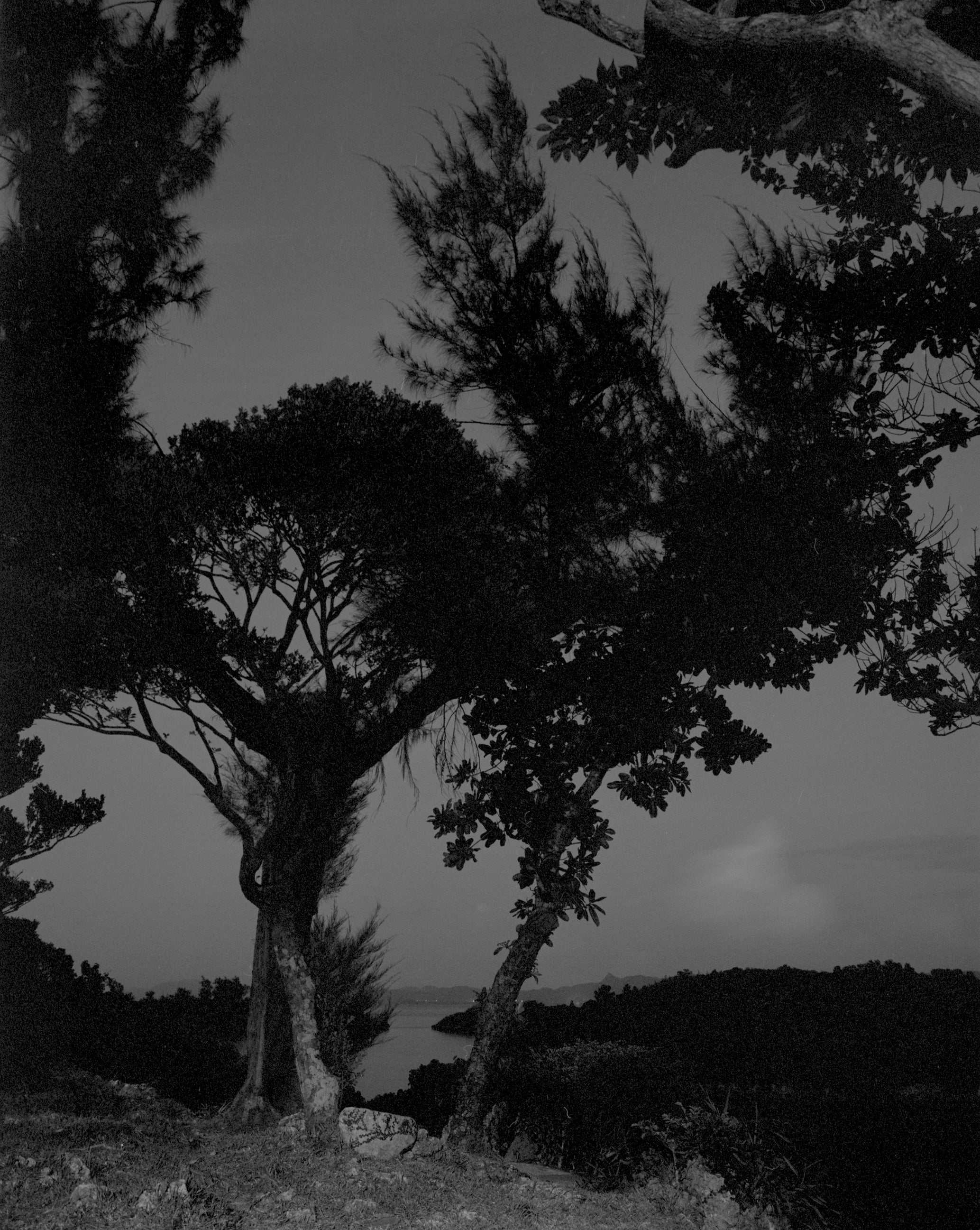 Awoiska van der Molen