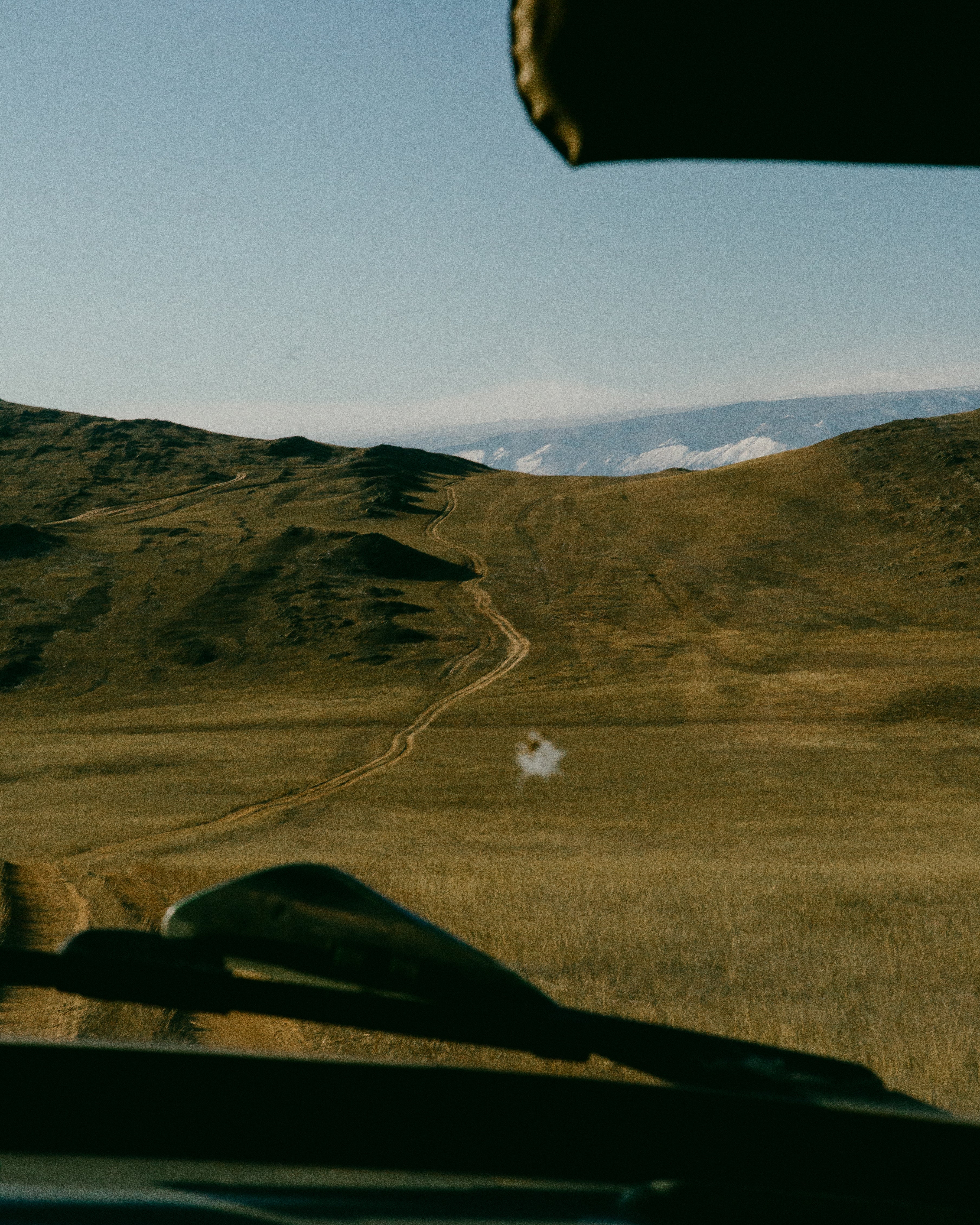 Desiré van den Berg