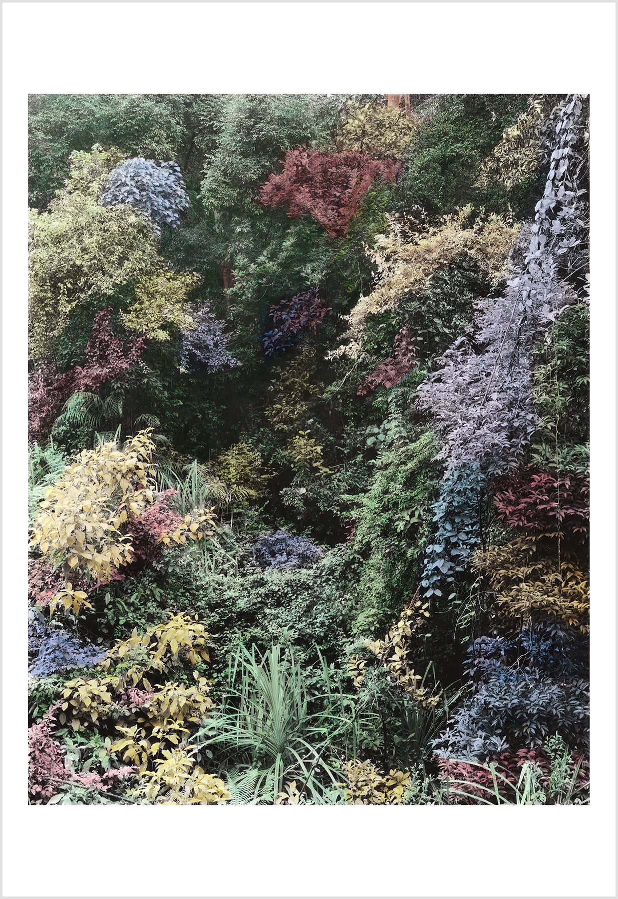 Vasantha Yogananthan