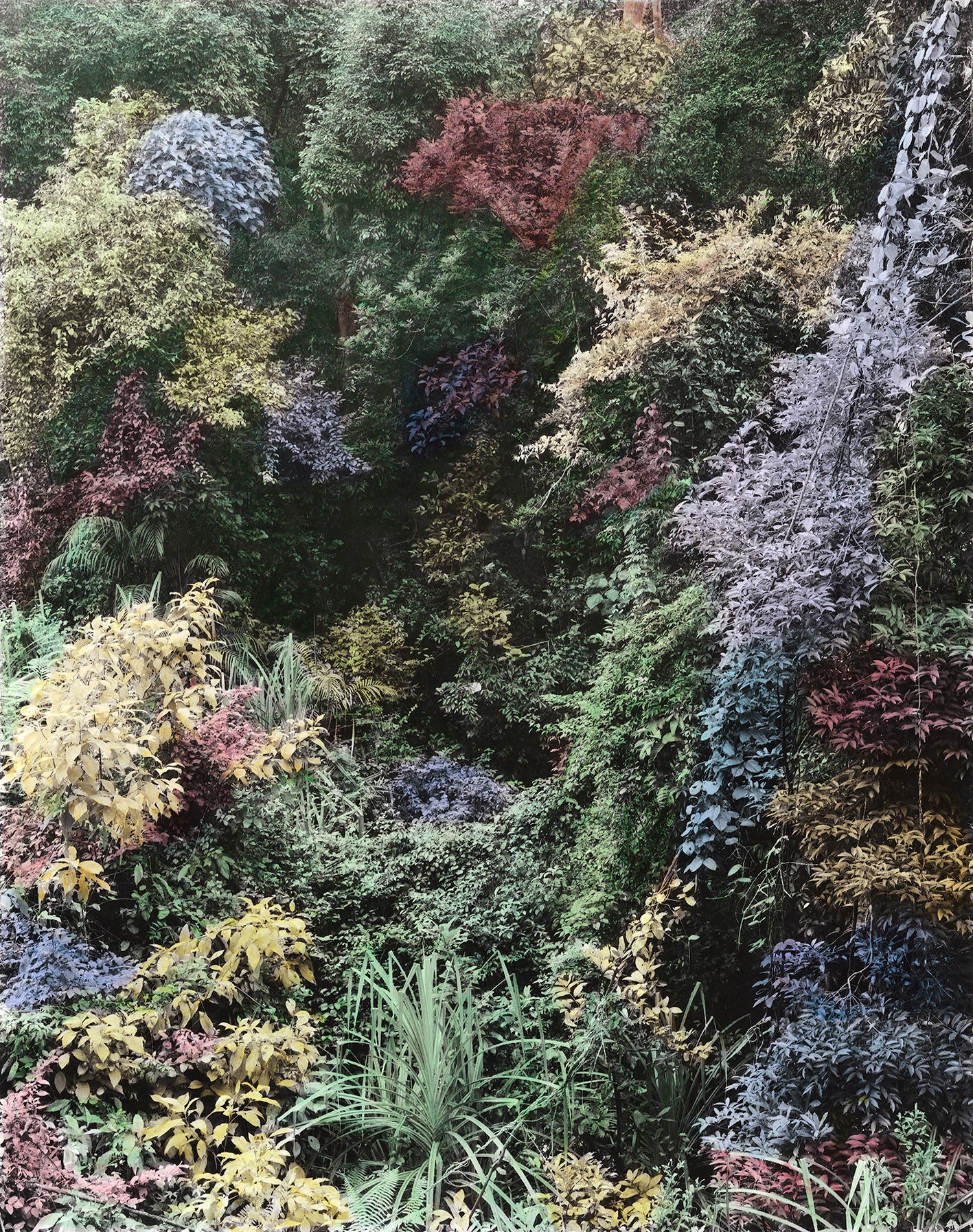 Vasantha Yogananthan